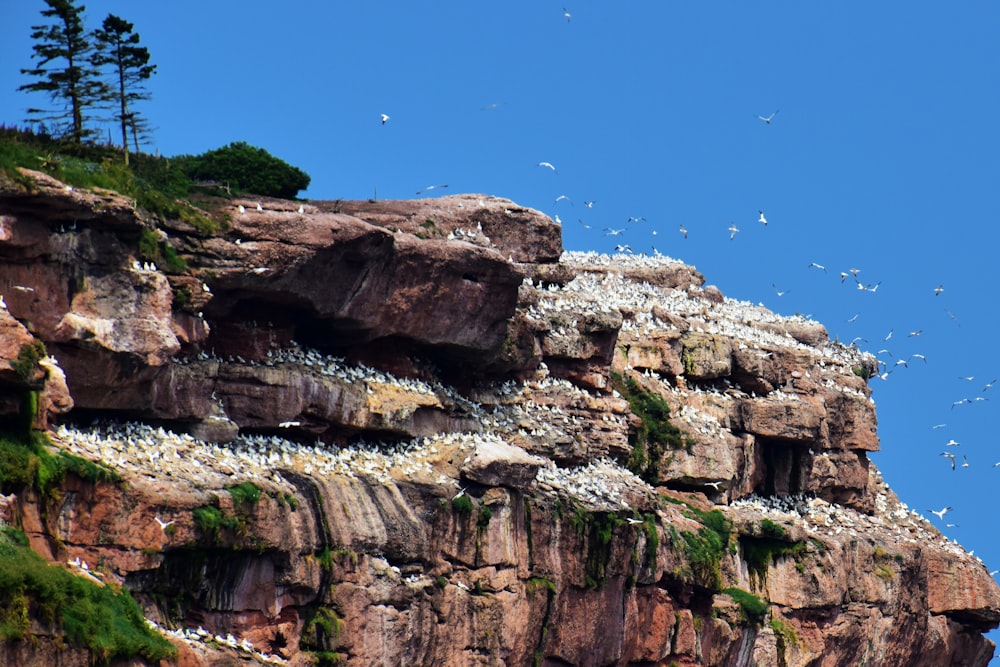 brown rocky mountain under blue sky during daytime