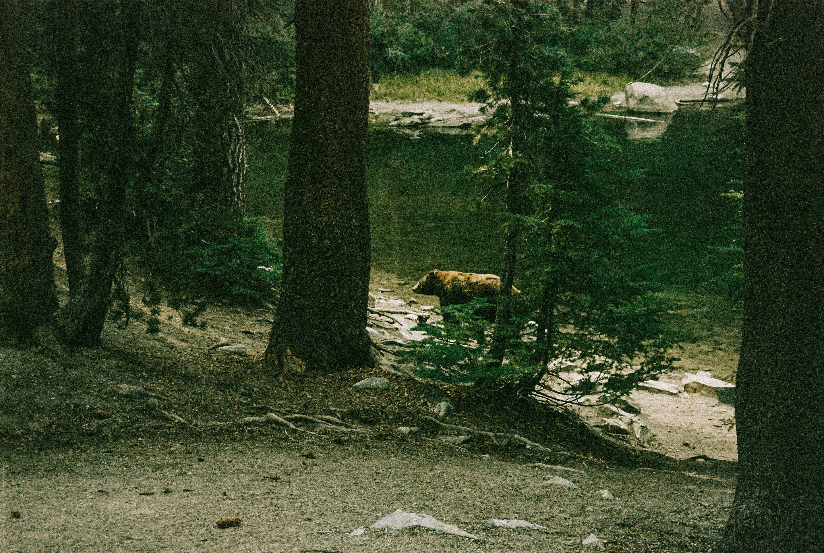 Bear Canyon Lake Recreation Area