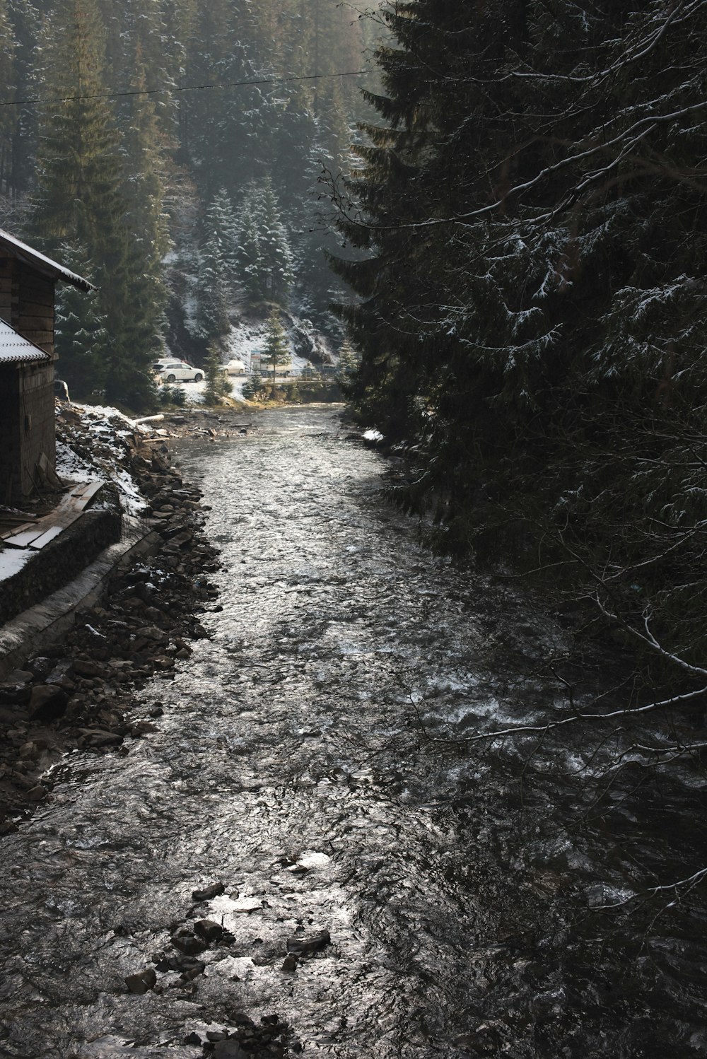 brown wooden house in the woods