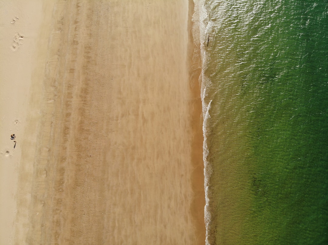 green and white textile beside brown wooden wall
