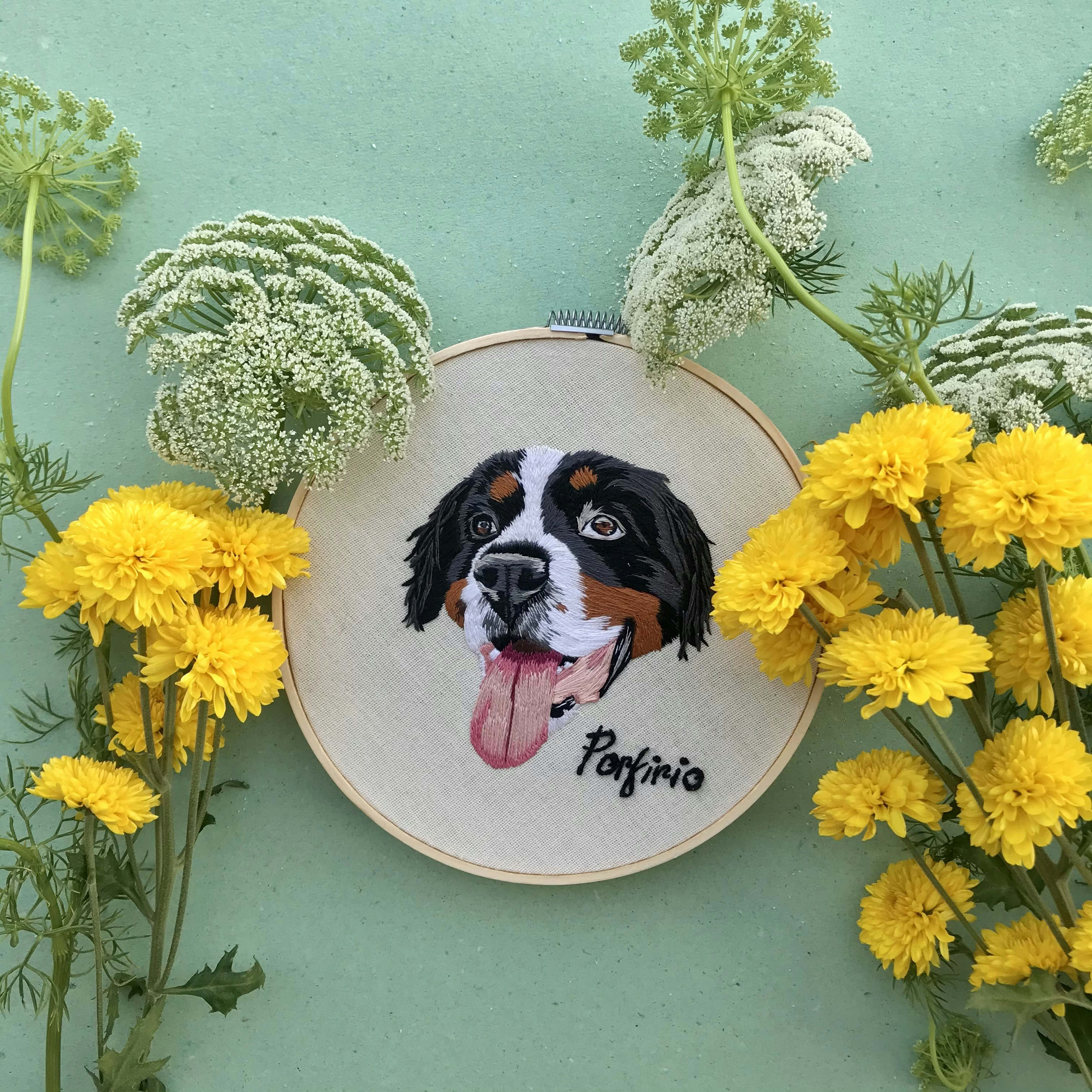 yellow flowers beside black and white short coated dog