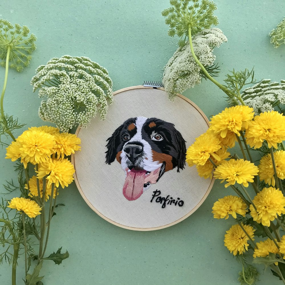 yellow flowers beside black and white short coated dog