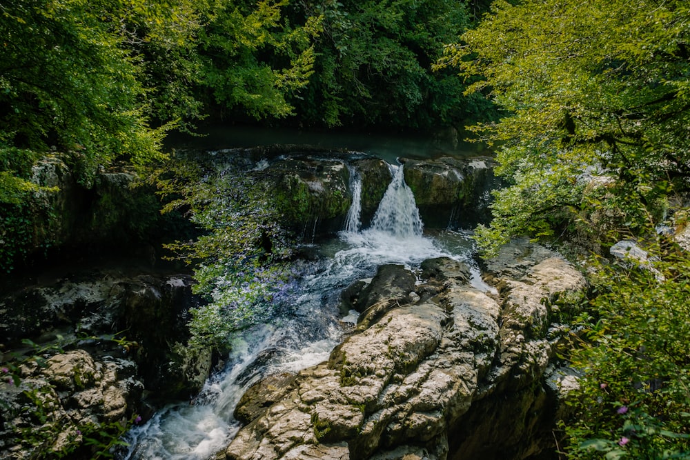 water falls in the middle of green trees