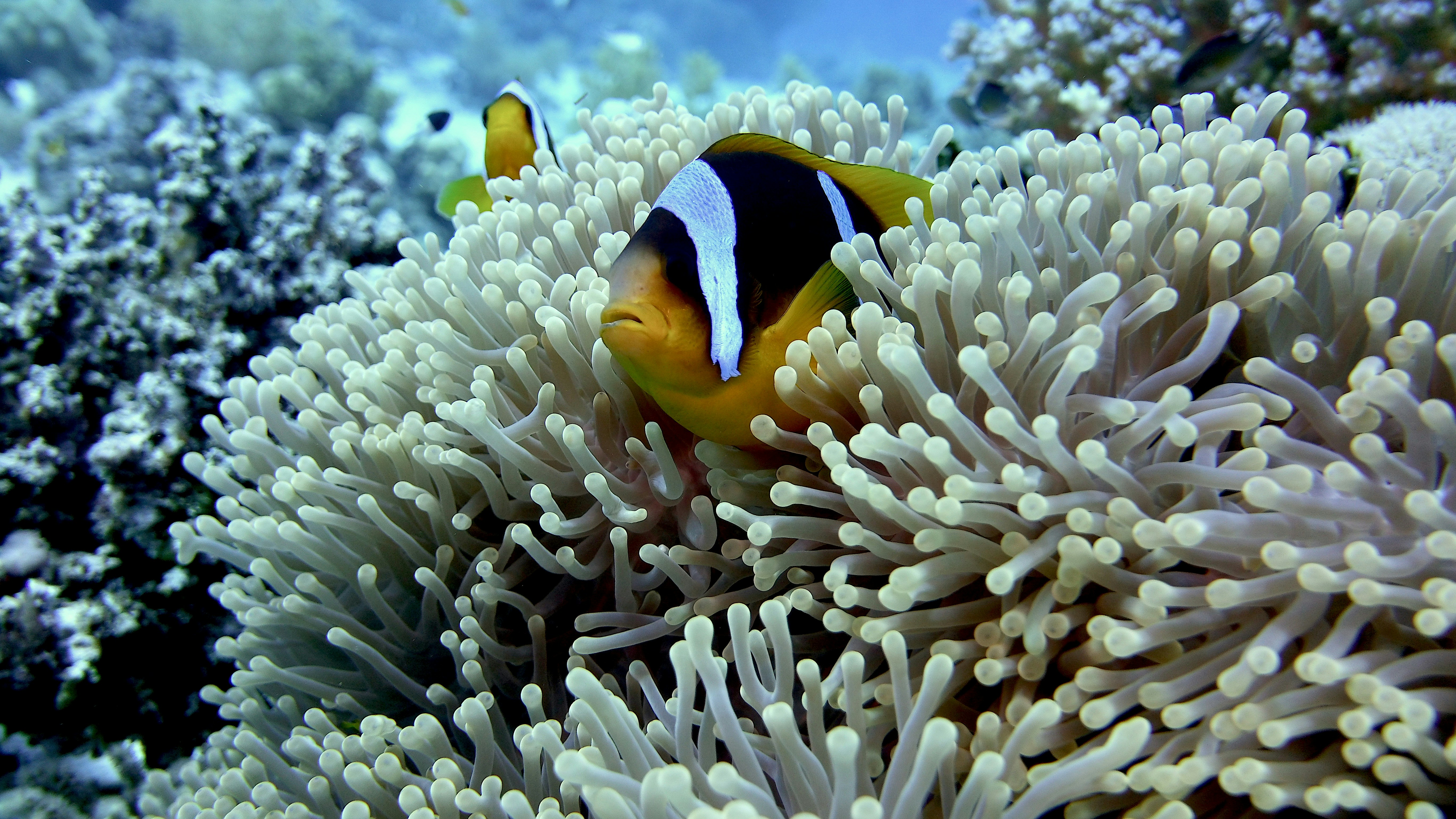 Photo by hotspur1705