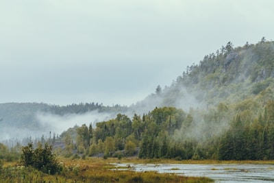 Morning mist rising over the Bukit Lawang rainforest canopy.