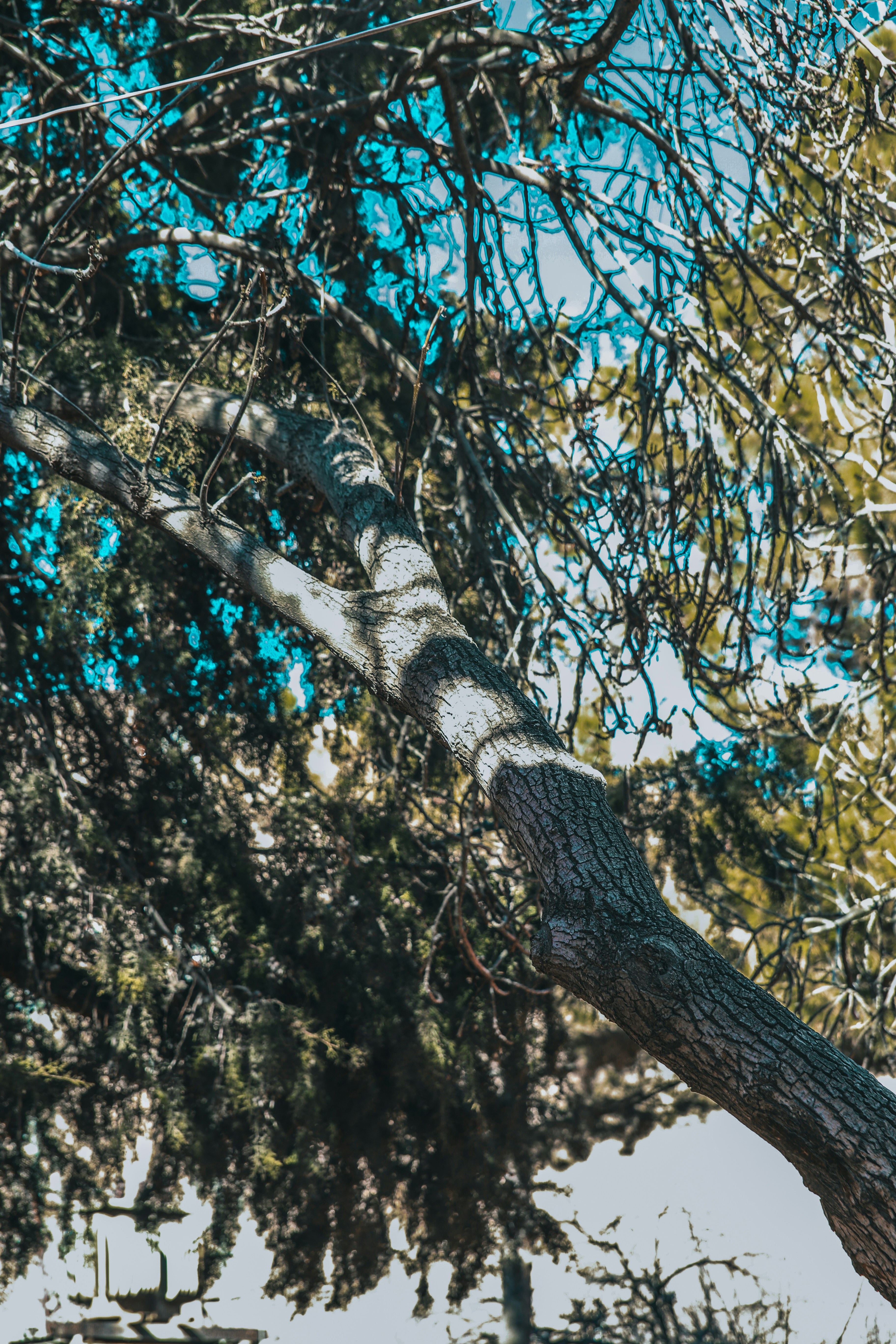 Photo by shahrukh_rehman1