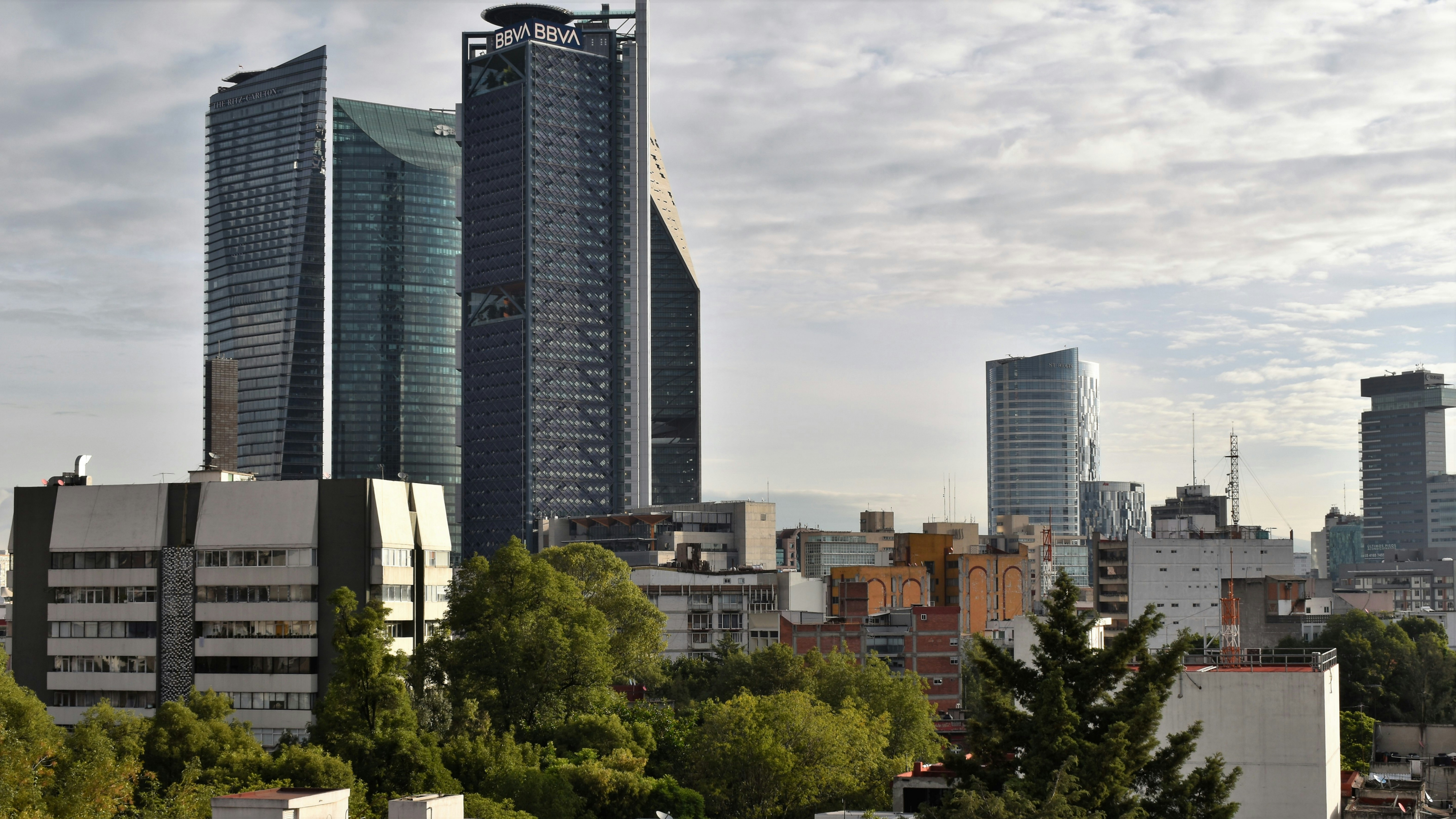 green trees near high rise buildings during daytime, 