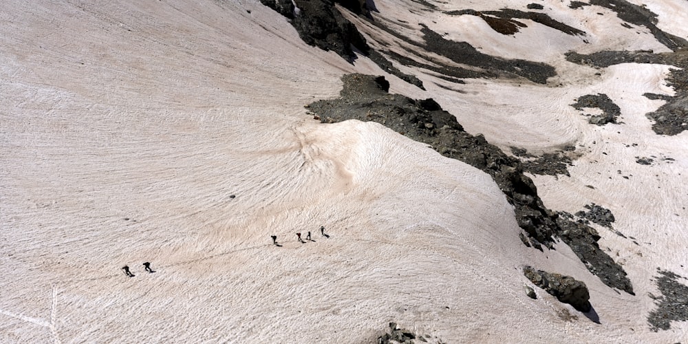 people walking on white sand during daytime