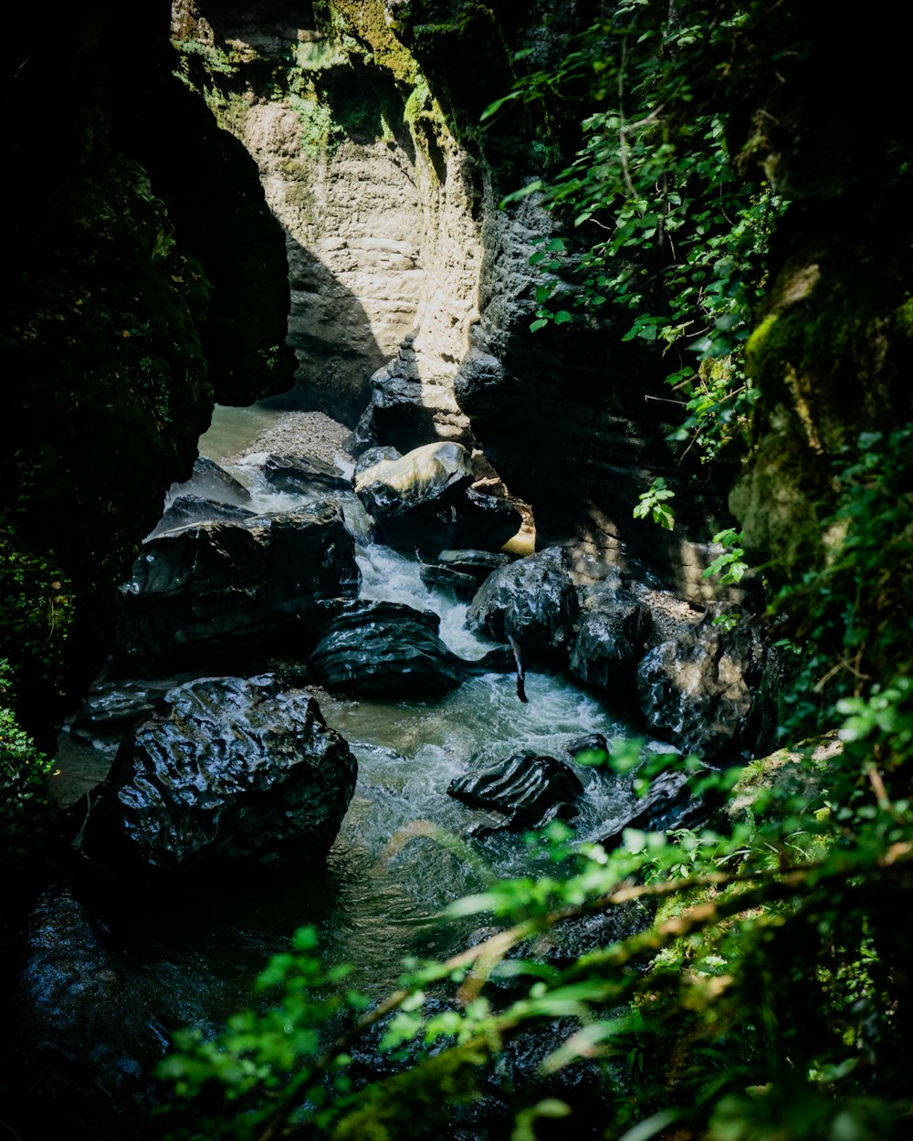 river in between rocky mountain during daytime