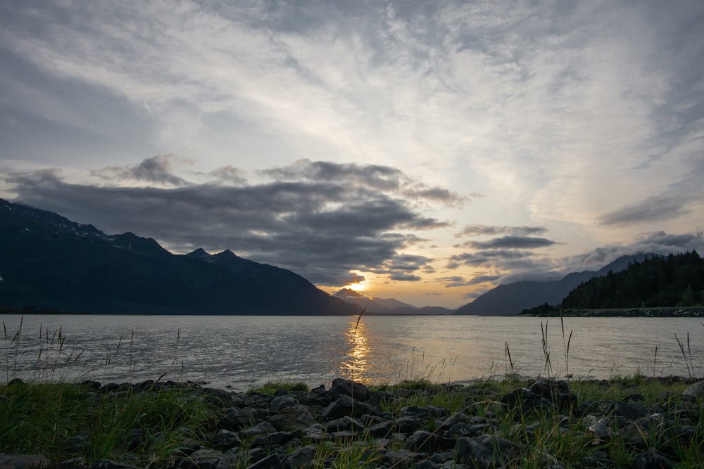 green grass near body of water during sunset