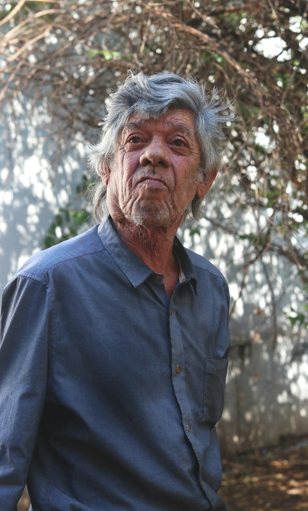 Hombre con camisa azul abotonada de pie cerca de un árbol verde durante el día