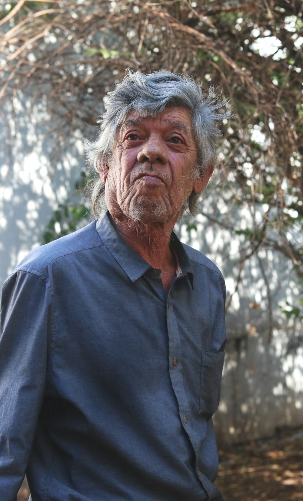 man in blue button up shirt standing near green tree during daytime