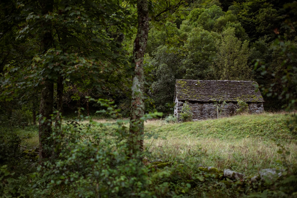 brown wooden house in the middle of green grass field