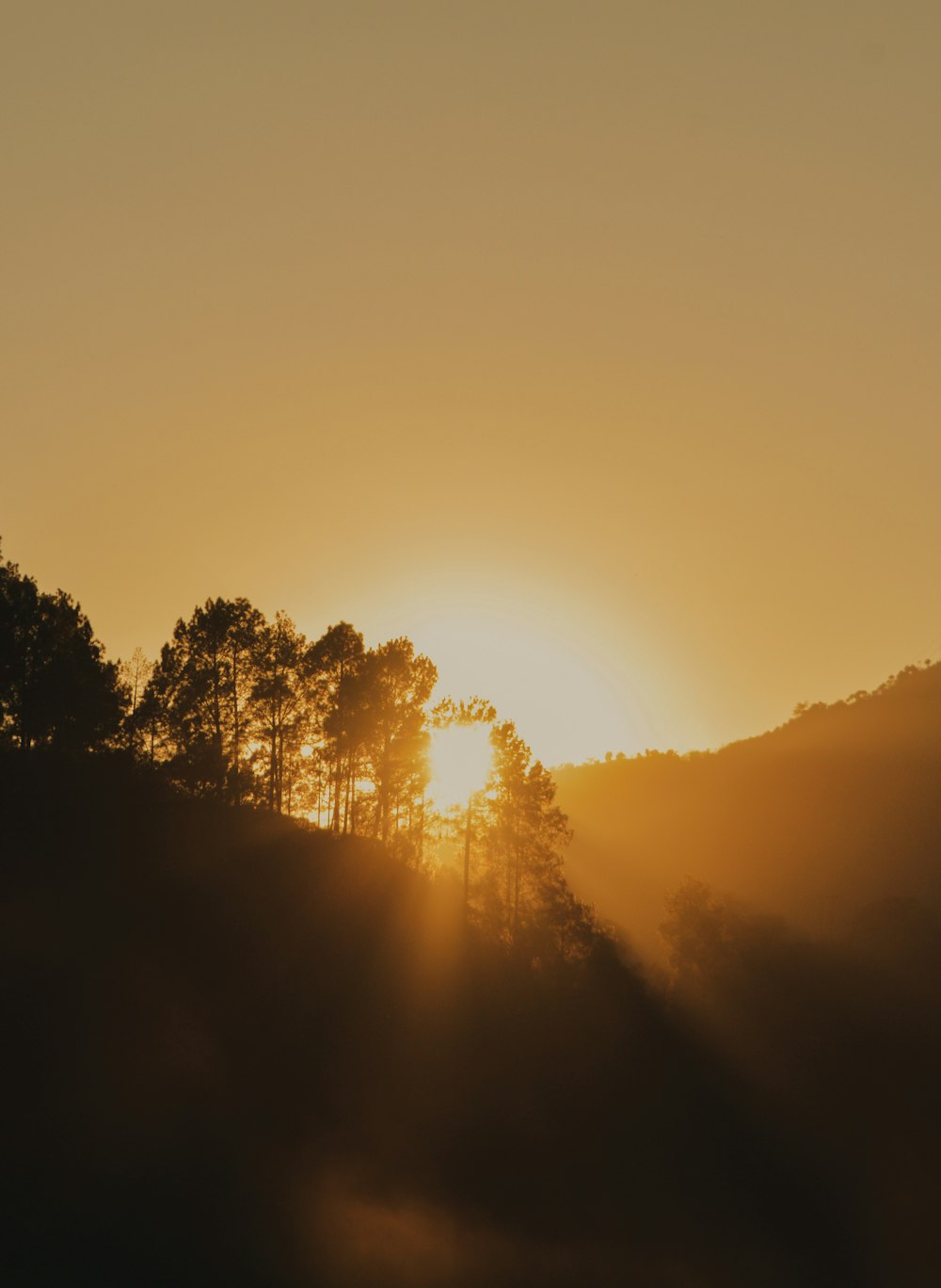 sun setting over trees and mountains