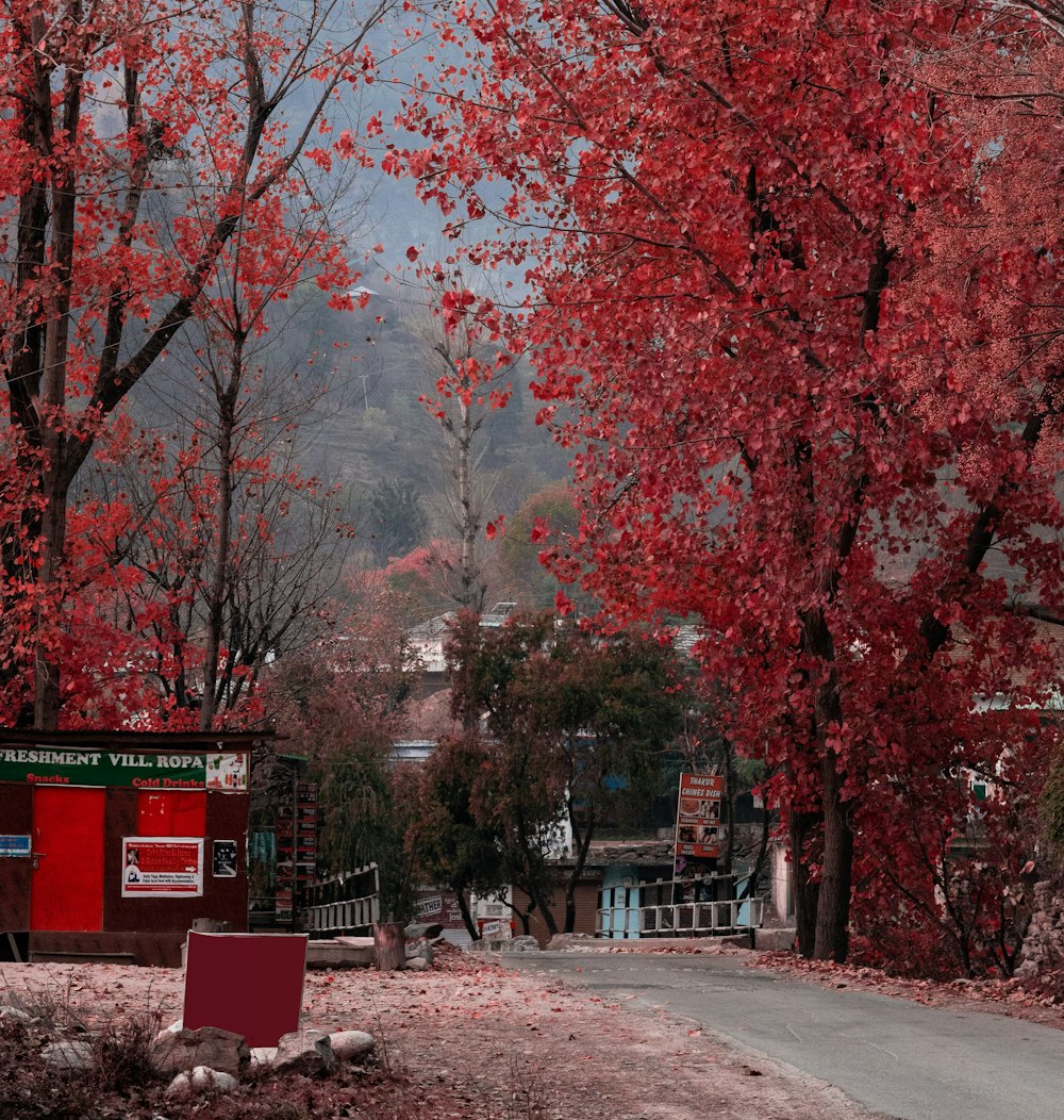 Rote Blattbäume in der Nähe des roten Gebäudes