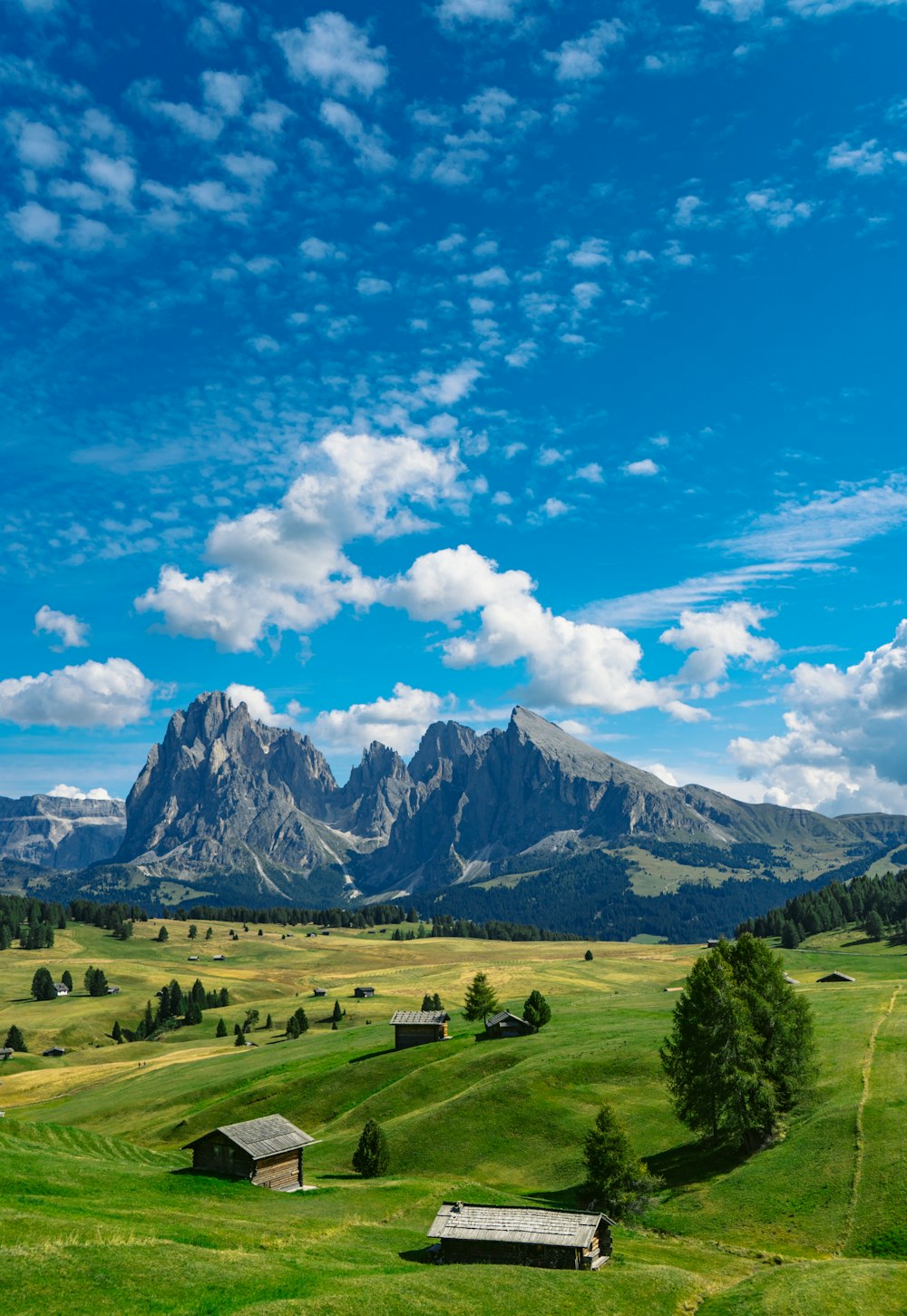 Grünes Grasfeld in Bergnähe unter blauem Himmel tagsüber