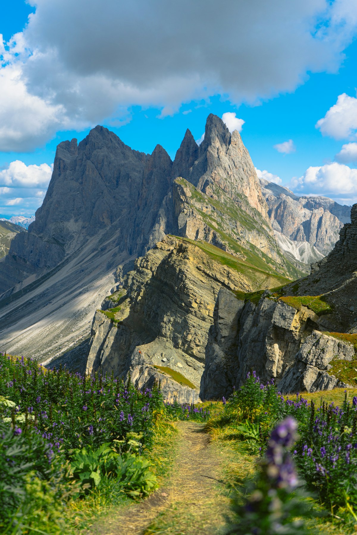 The green and grey ridgeline of Seceda