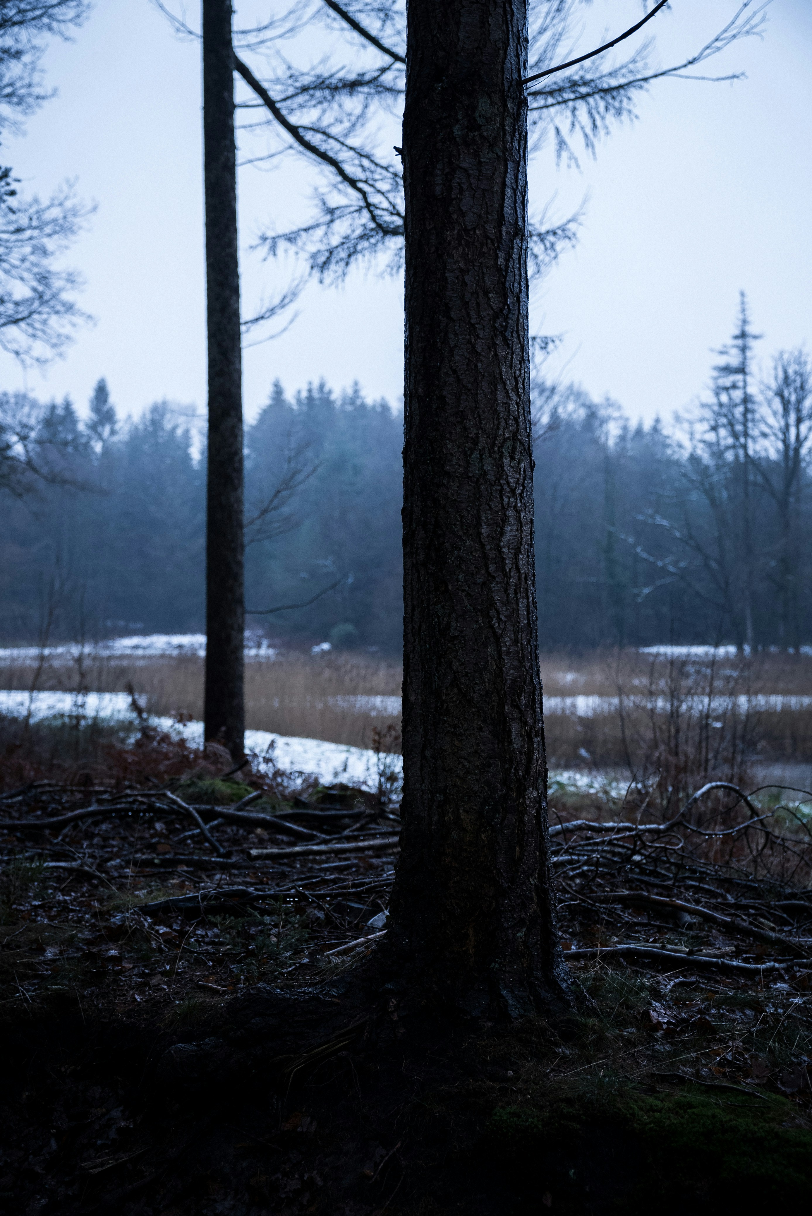 Photo by moritzluedtke