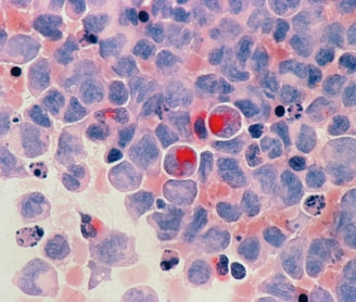 red round fruits on white and blue surface