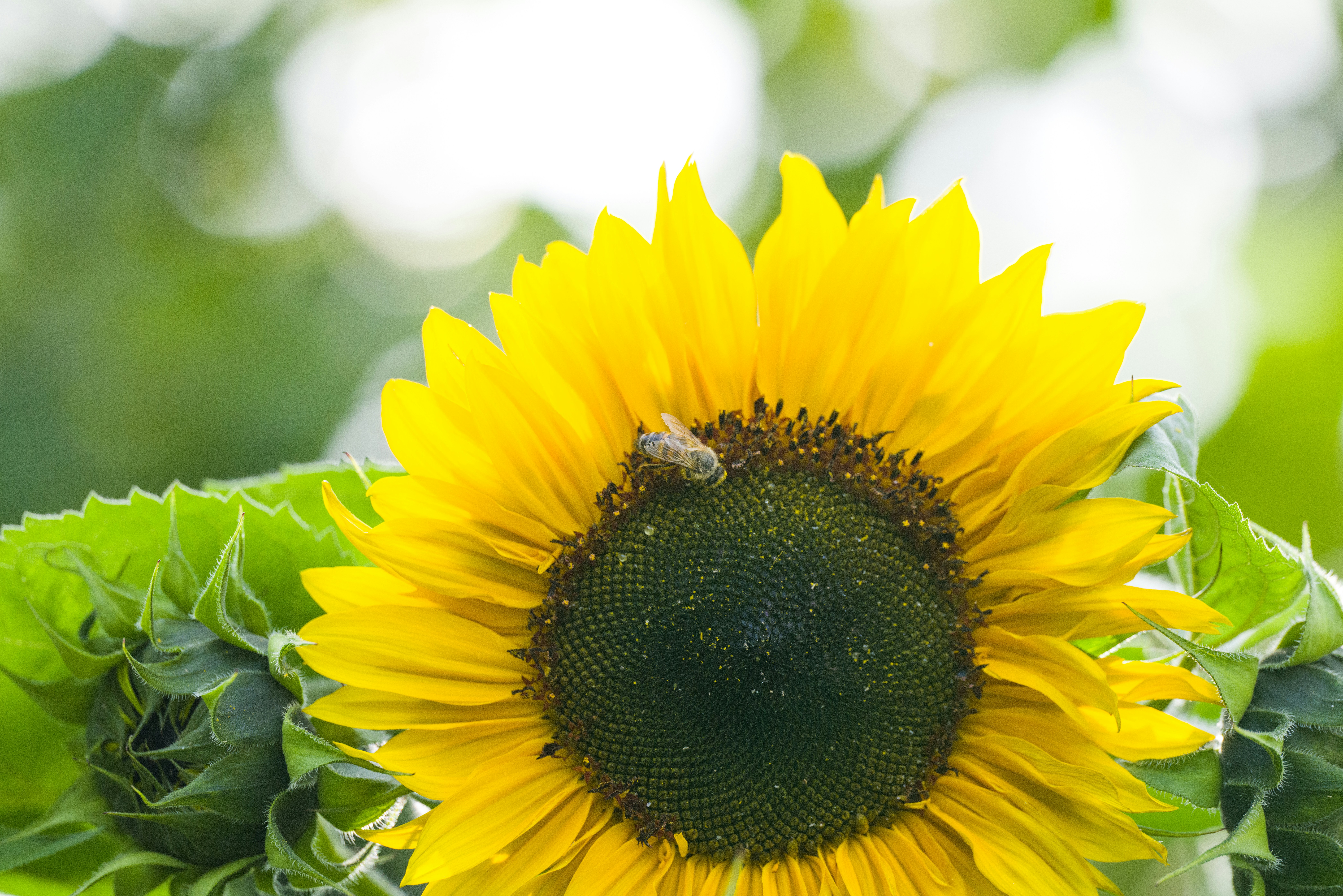 Photo by georgeiermann