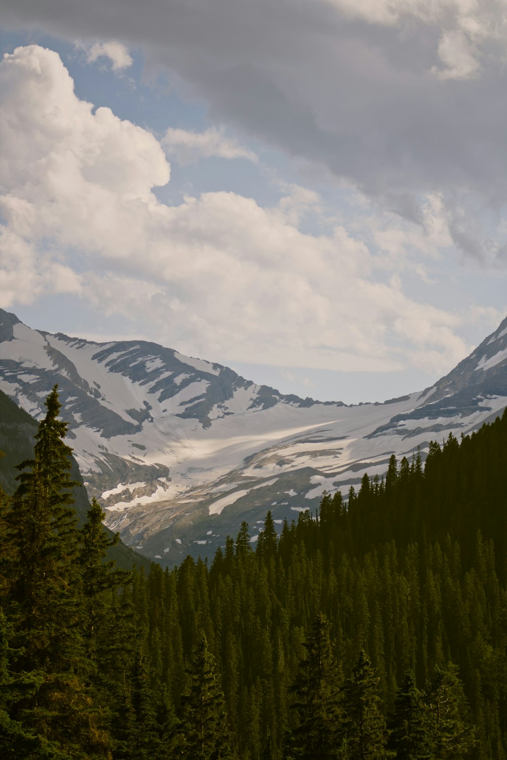 green trees near snow covered mountain during daytime