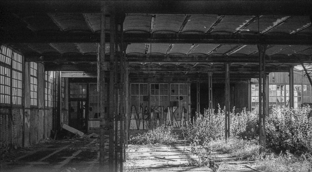 grayscale photo of wooden house