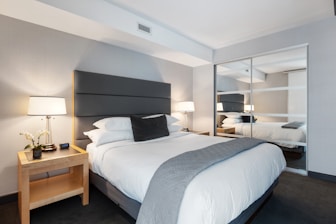 deluxe plus room