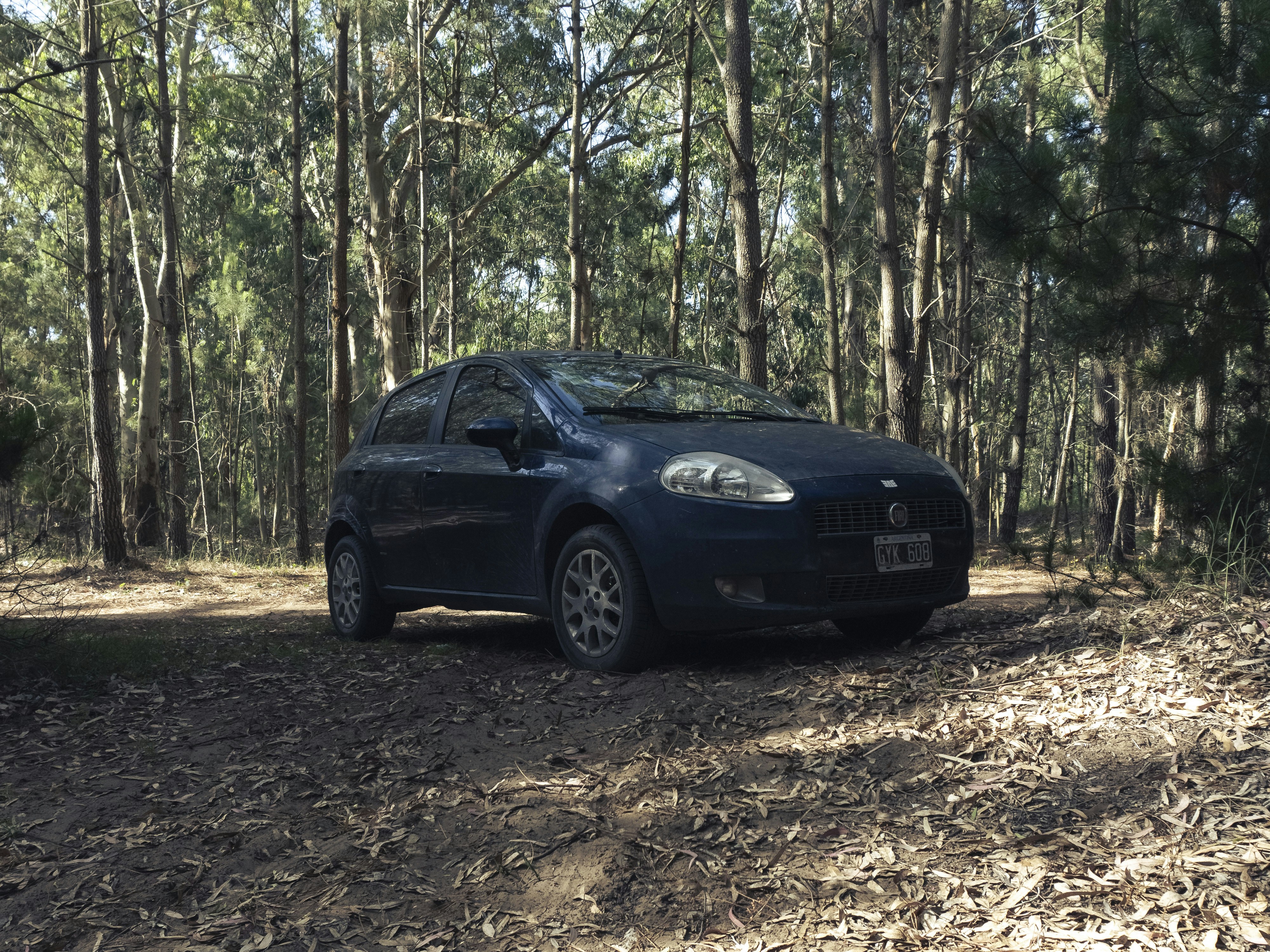 Fiat Bravo