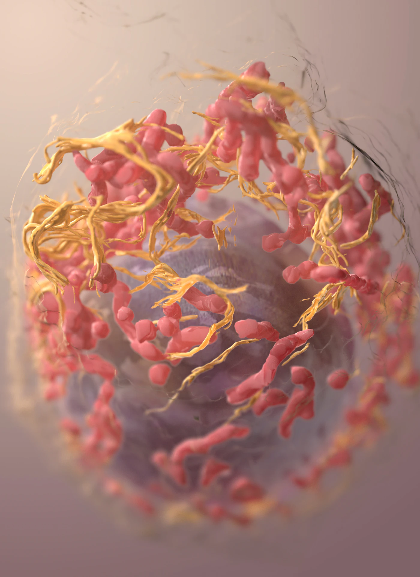 Merck (NYSE: MRK) and Kelun-Biotech (HKEX: 6990) report sac-TMT benefit in PD-L1-negative lung cancer