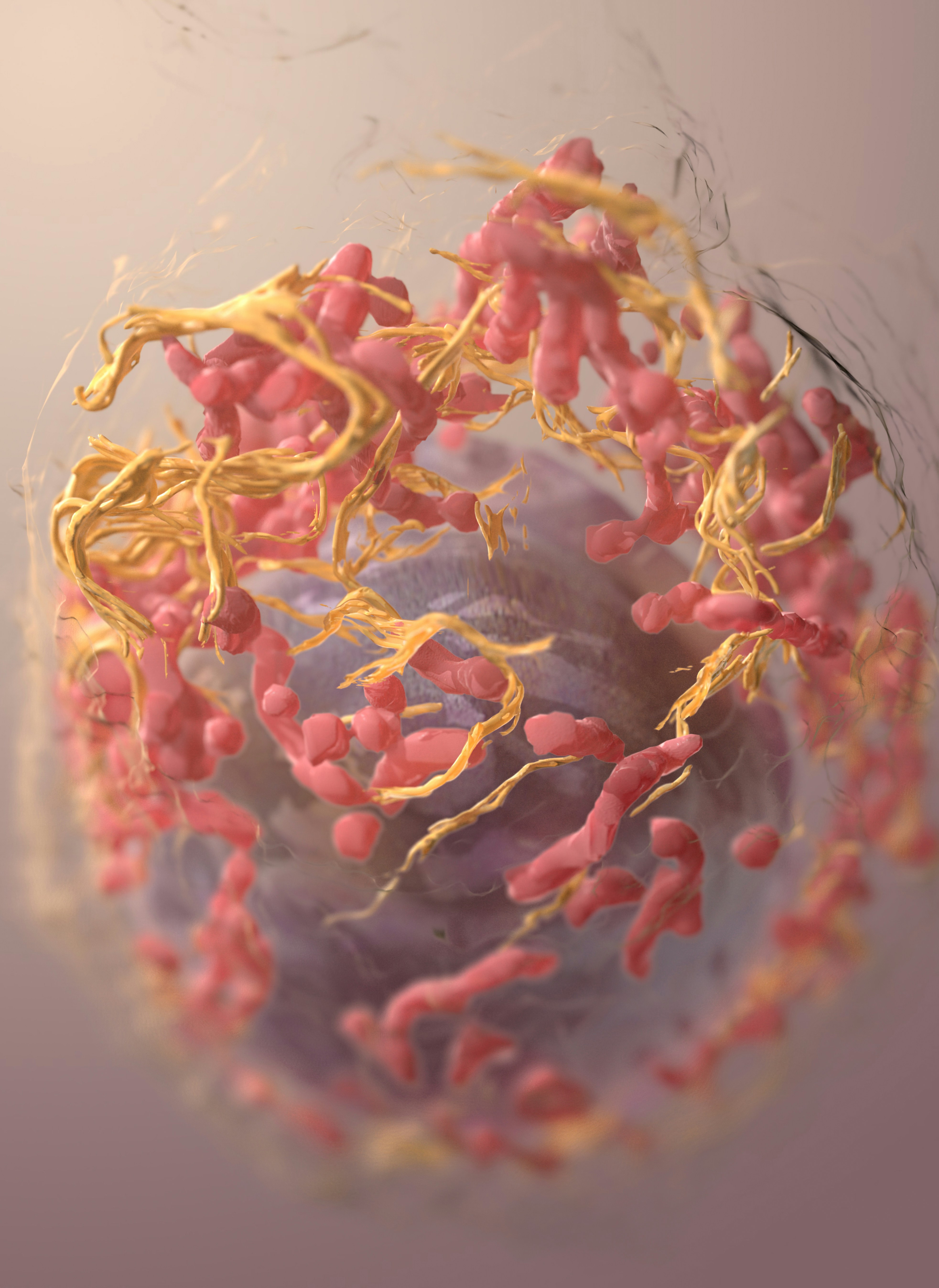 Mucosal Melanoma Cancer