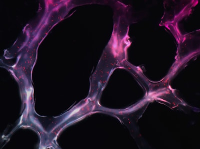 A complex network of translucent, web-like structures with vibrant pink and purple hues against a dark background. The glowing strands are interwoven, creating a dynamic pattern punctuated by small red dots.