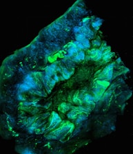 A microscopic image of a biological tissue sample, showing intricate and detailed structures in vibrant colors. The tissue appears to be illuminated with fluorescent staining, showcasing branching patterns and areas of varying intensity in green and blue hues.