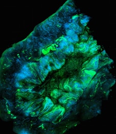 A microscopic image of a biological tissue sample, showing intricate and detailed structures in vibrant colors. The tissue appears to be illuminated with fluorescent staining, showcasing branching patterns and areas of varying intensity in green and blue hues.