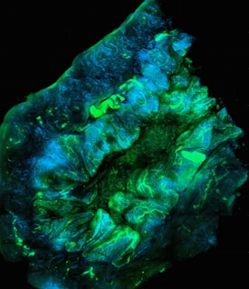 A microscopic image of a biological tissue sample, showing intricate and detailed structures in vibrant colors. The tissue appears to be illuminated with fluorescent staining, showcasing branching patterns and areas of varying intensity in green and blue hues.