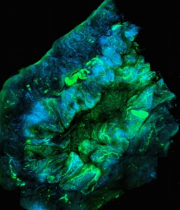 A microscopic image of a biological tissue sample, showing intricate and detailed structures in vibrant colors. The tissue appears to be illuminated with fluorescent staining, showcasing branching patterns and areas of varying intensity in green and blue hues.