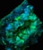 A microscopic image of a biological tissue sample, showing intricate and detailed structures in vibrant colors. The tissue appears to be illuminated with fluorescent staining, showcasing branching patterns and areas of varying intensity in green and blue hues.