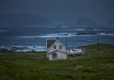 white wooden house on green grass field near body of water during daytime