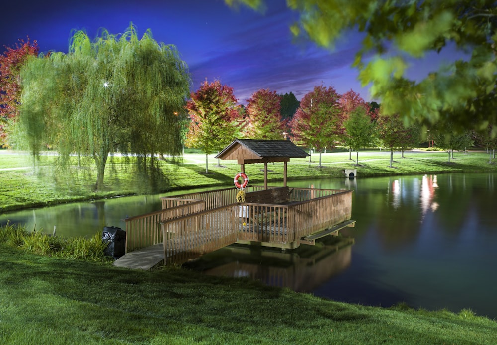 brown wooden dock on lake near green trees during daytime