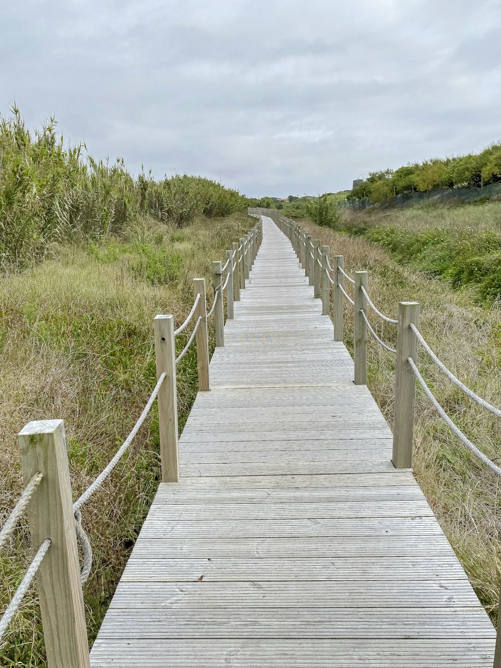 brown wooden bridge on green grass field during daytime