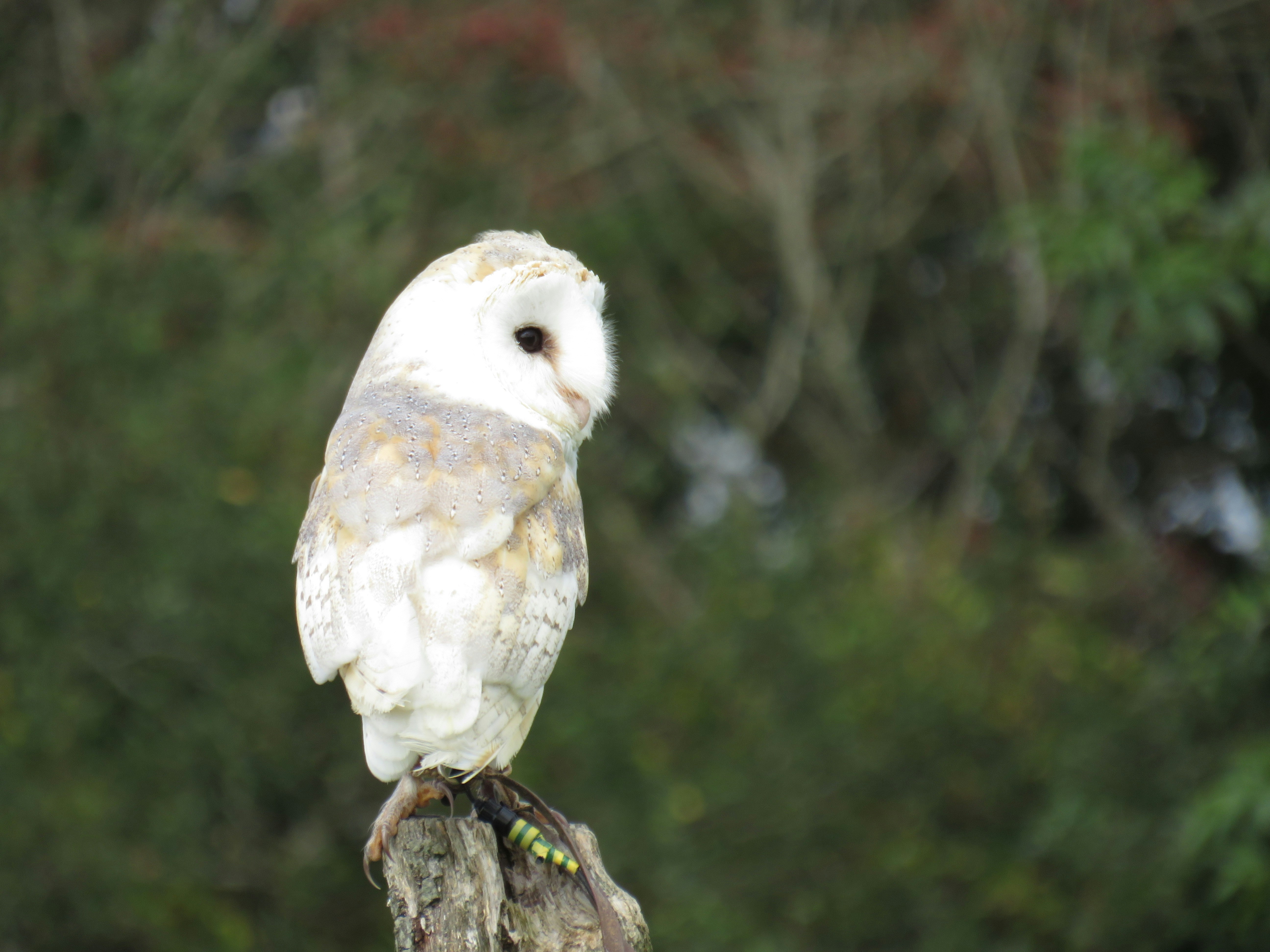 Photo by staceyhfc10