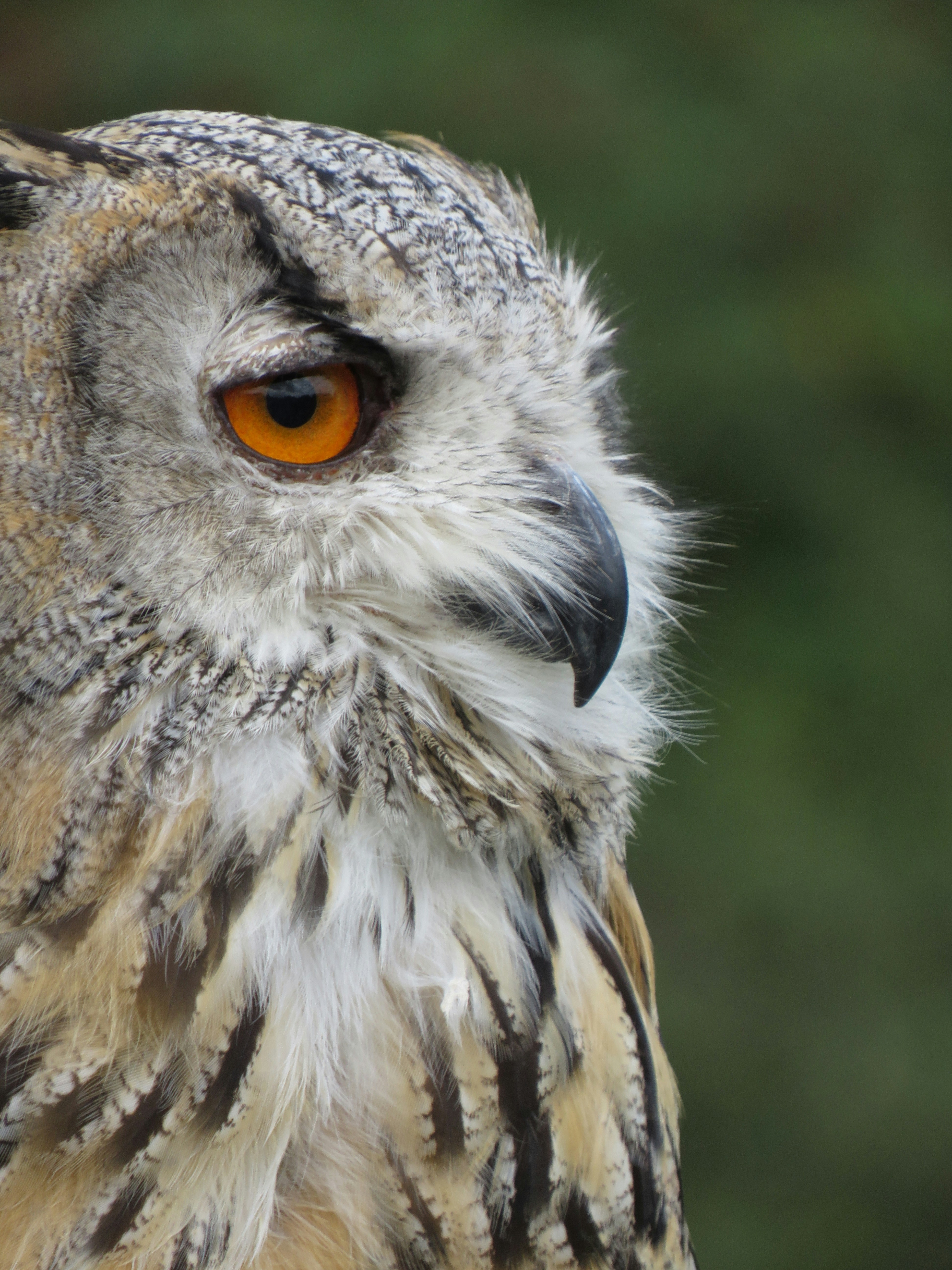 Photo by staceyhfc10