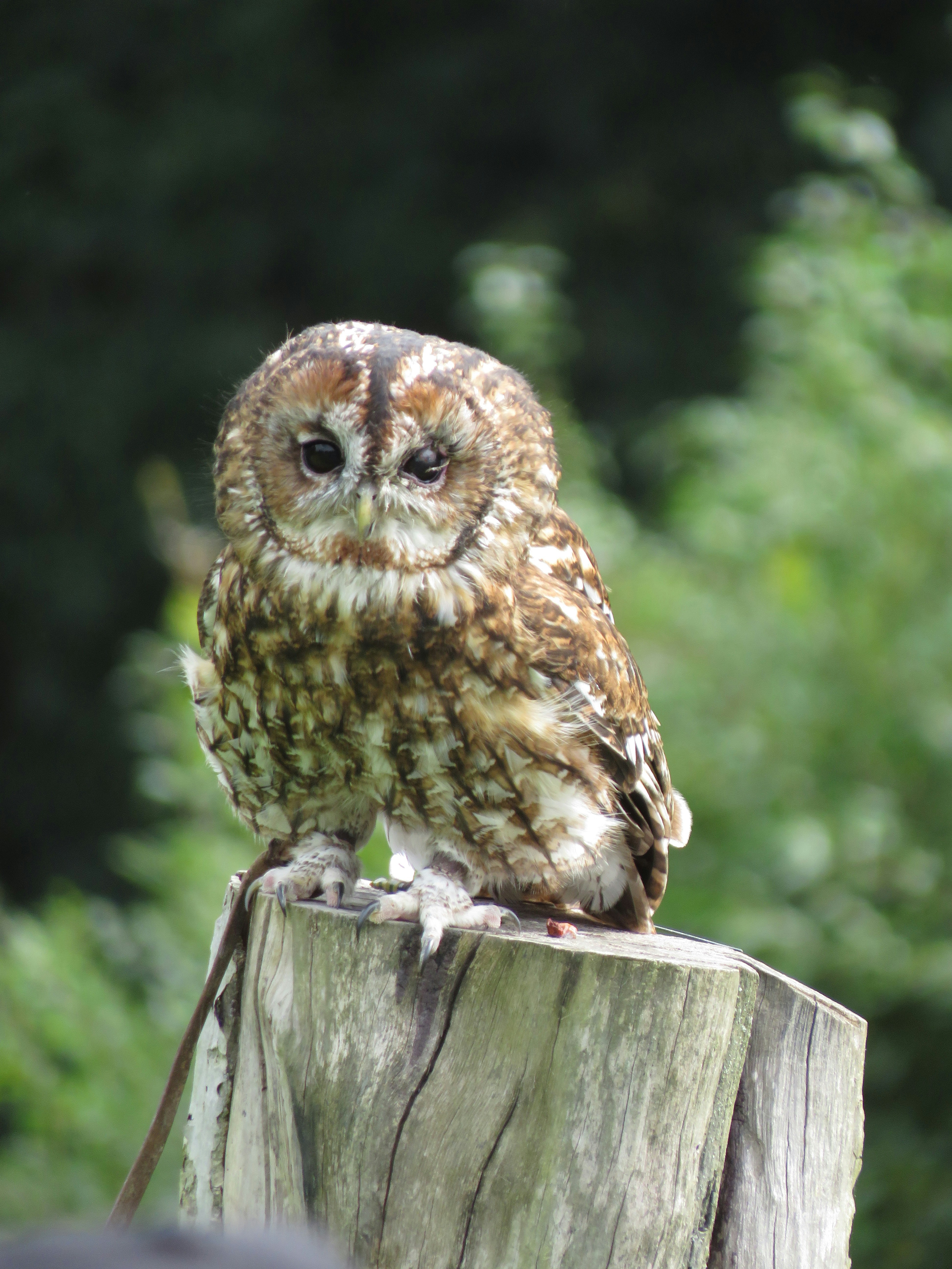 Photo by staceyhfc10