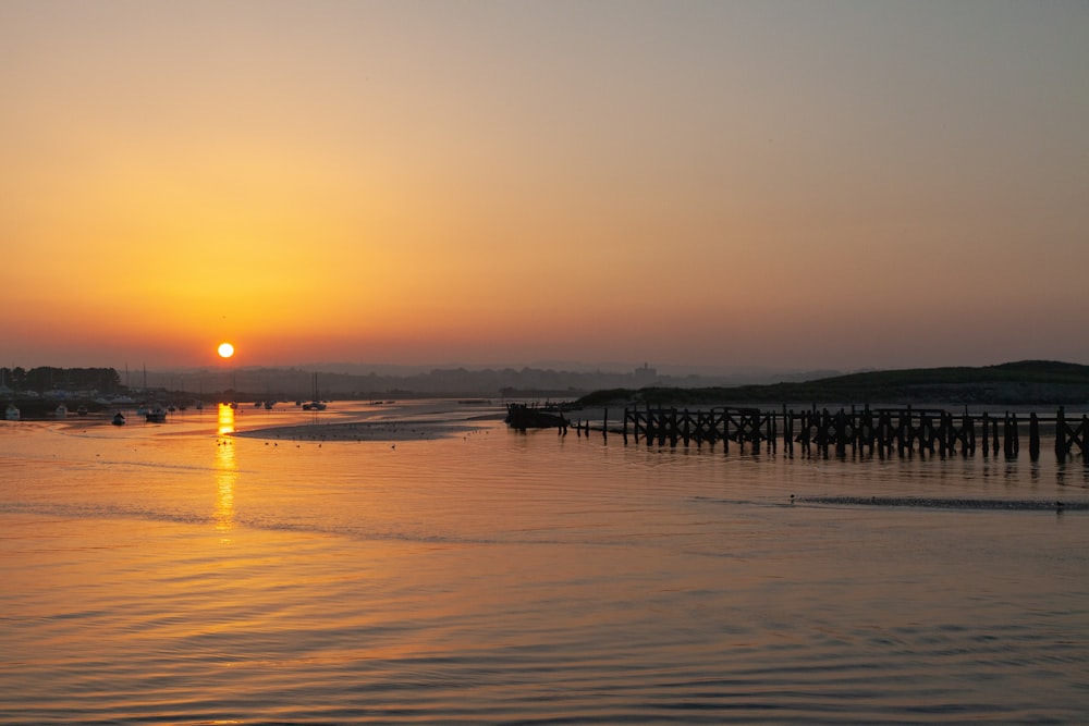 silhouette of people on beach during sunset