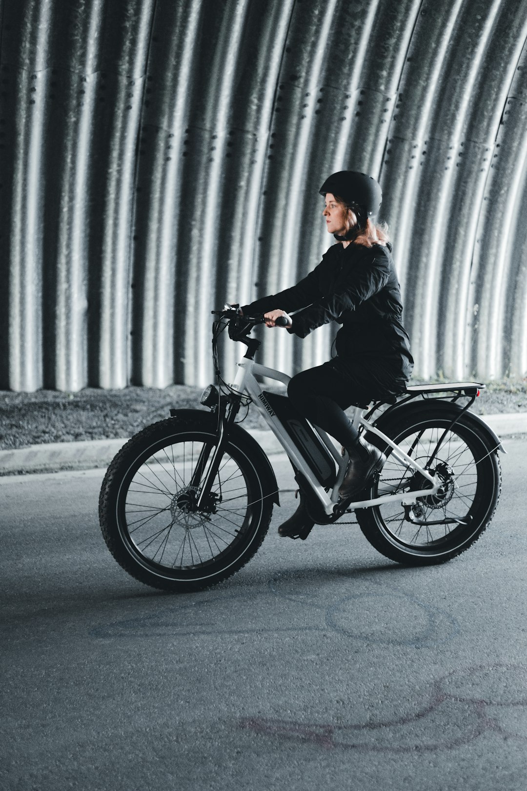 Which Types of Motors are Used in Electric Bicycles? and more