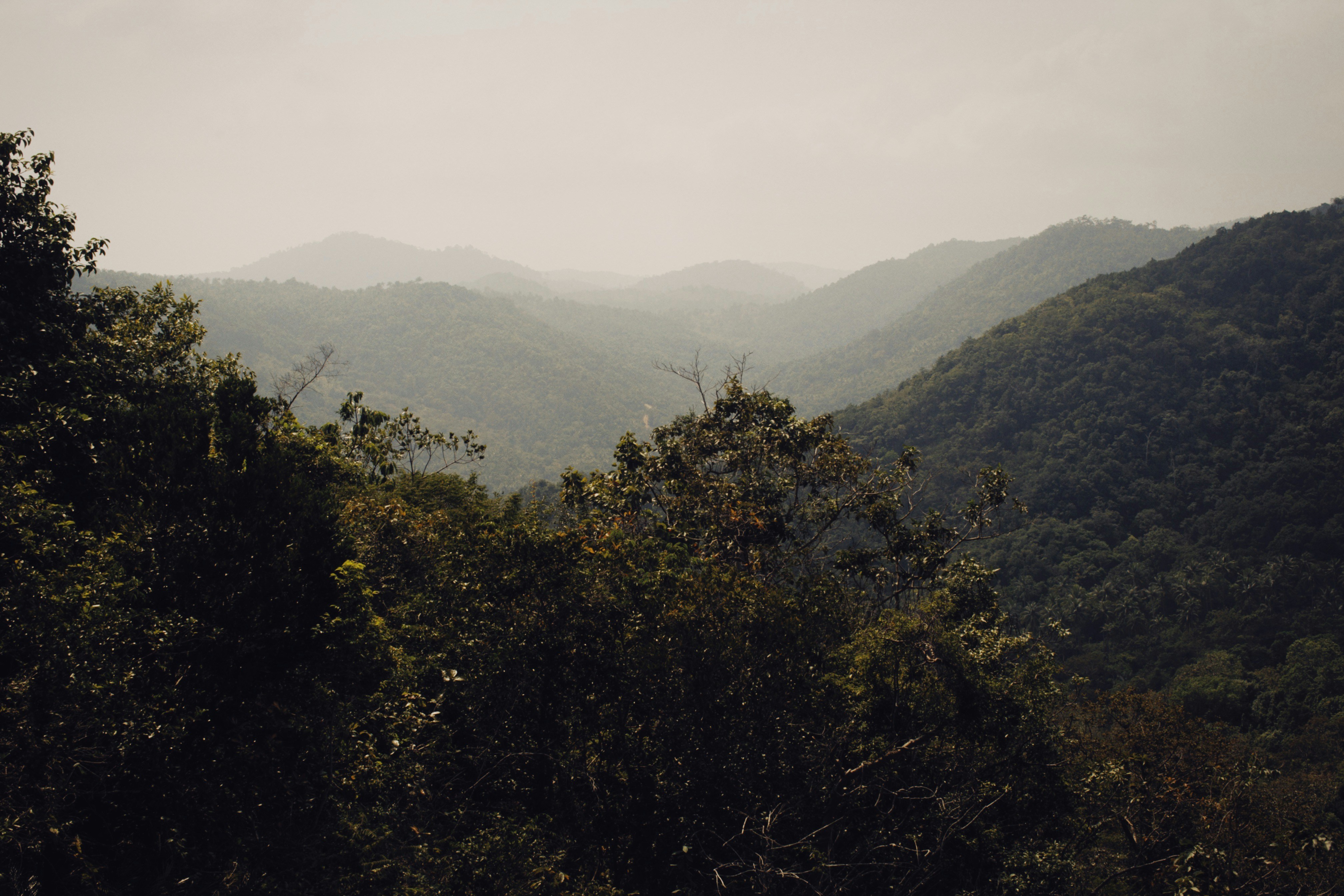 Photo by alexeydemidov