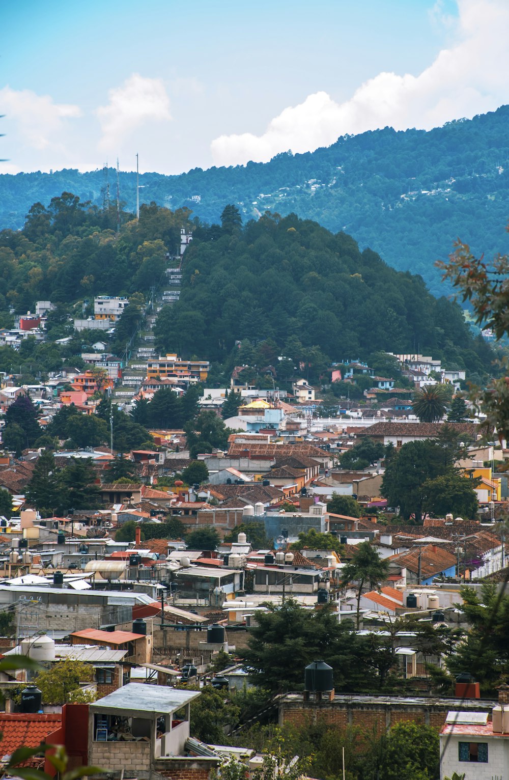 Árboles verdes y casas cerca de la montaña durante el día