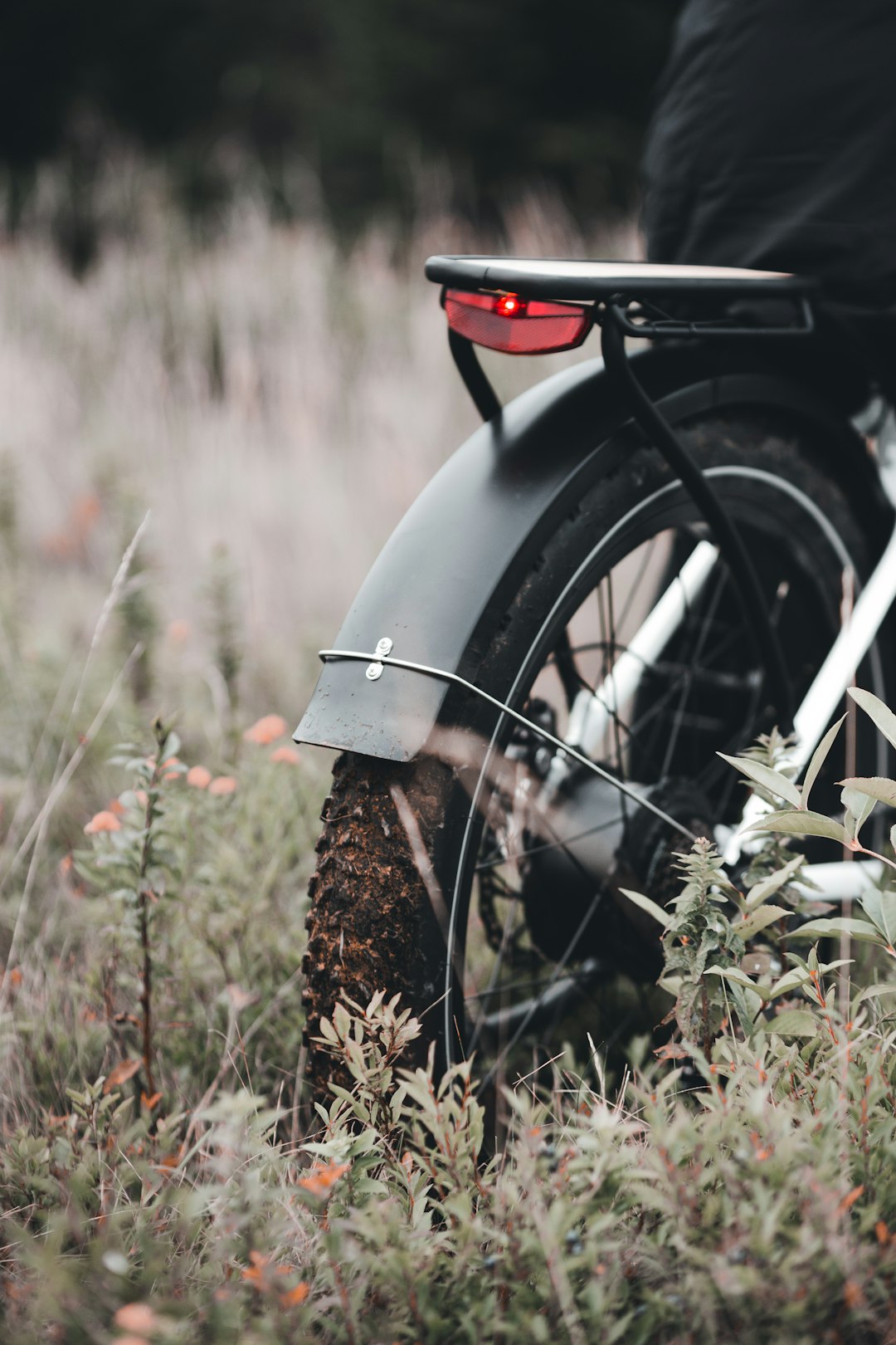 white and black motorcycle on brown grass field during daytime