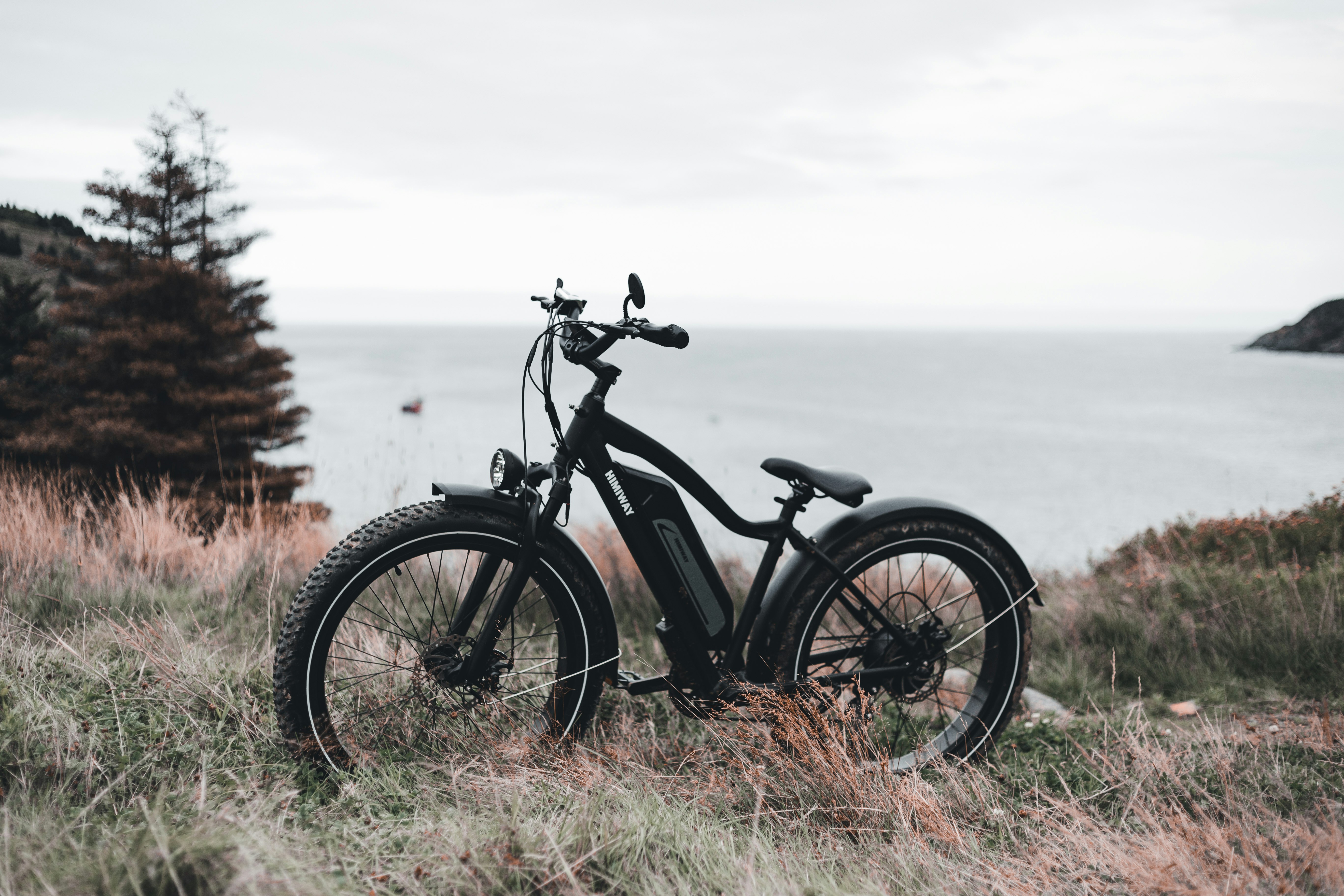 black bicycle on green grass field during daytime