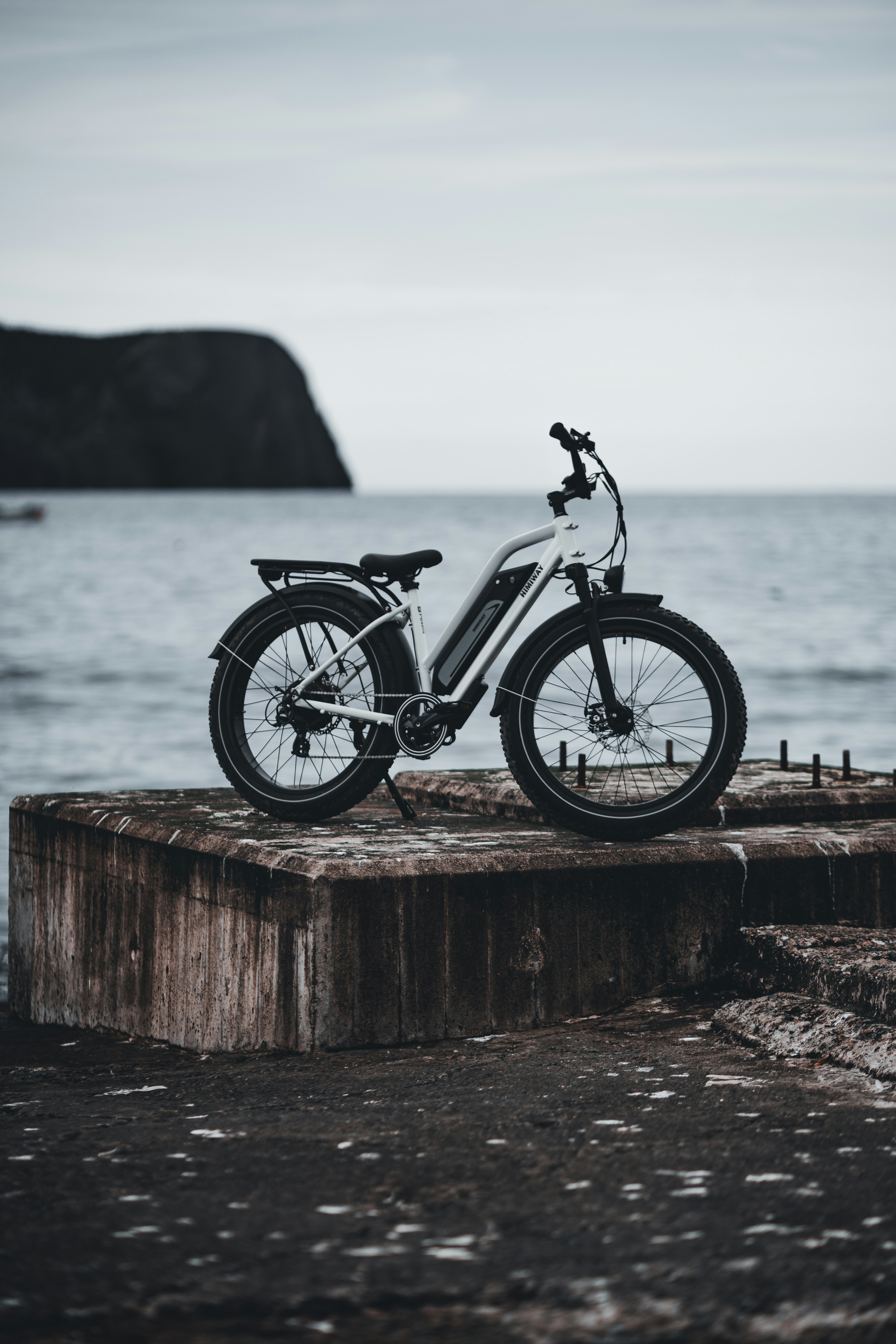 black and white bicycle on brown wooden fence near body of water during daytime