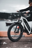 A person riding a large-wheeled electric bicycle by the waterfront. The bike has thick tires and is equipped with front suspension. The background features a blurry coastal landscape with a blend of urban and natural elements.